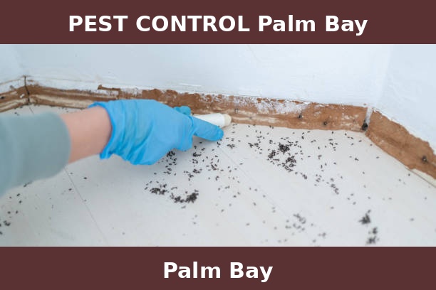 PEST CONTROL Palm Bay